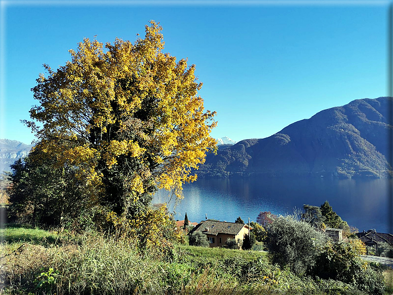 foto Lago di Como